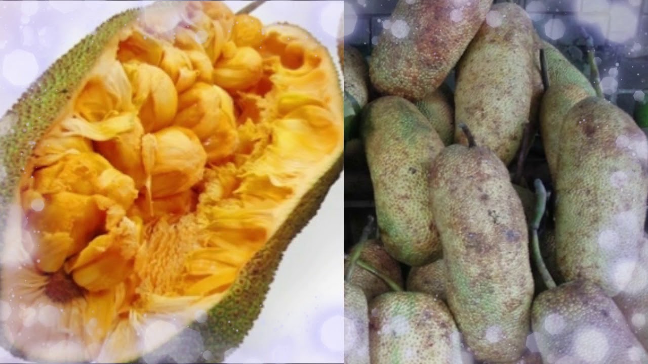 the benefits of cempedak fruit for the health of our body