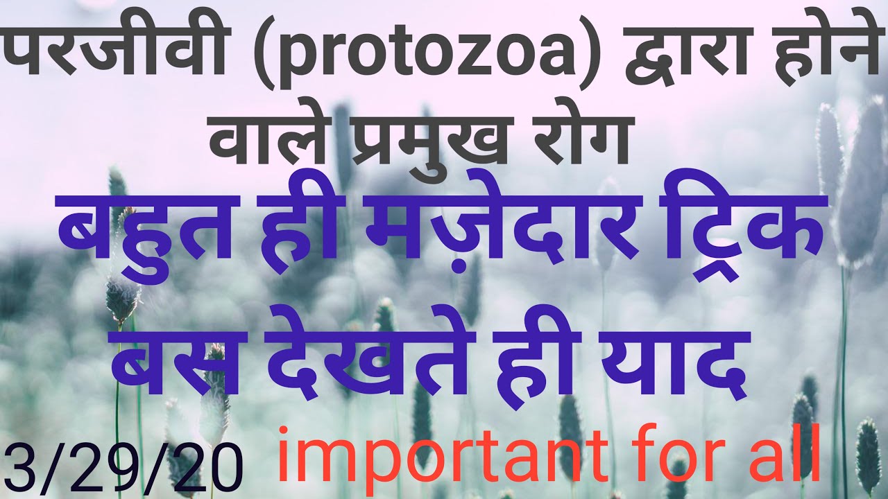 परजीवी द्वारा होने वाले रोग ट्रिक || protozoa se hone wale rog || protozoa disease trick || science