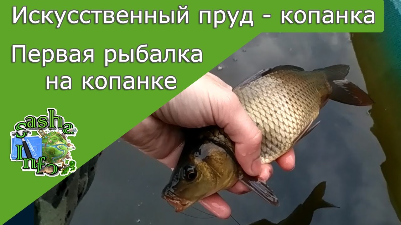 Первая рыбалка весной на копанке . Поймал карпиков . Искусственный пруд своими руками