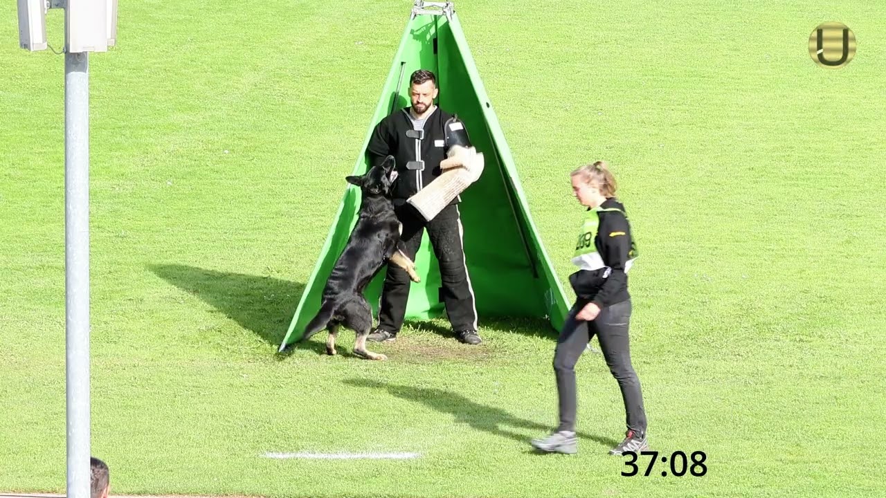 Joanna Kariuz mit der Hündin Imalla vom Haus Mink im Schutzdienst A:96 B:88 C: