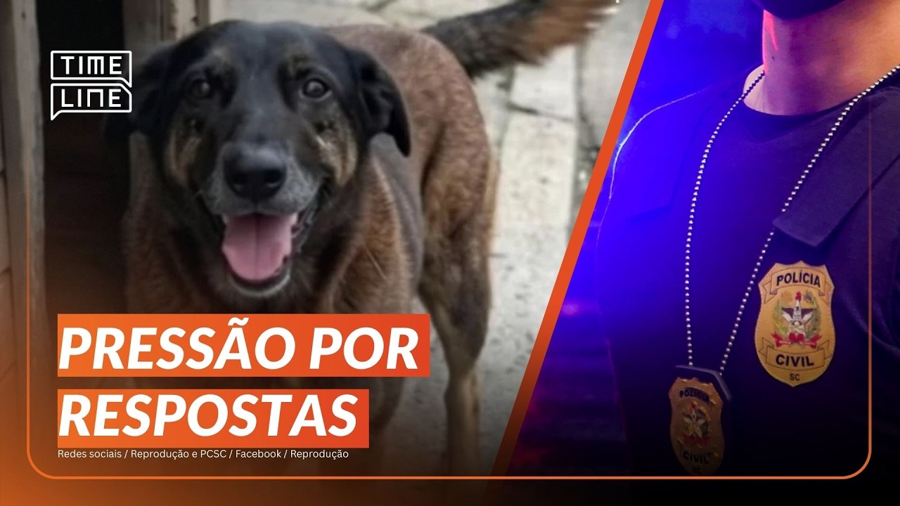 CASO ORELHA: polícia conclui investigação e pede internação de um adolescente | Timeline