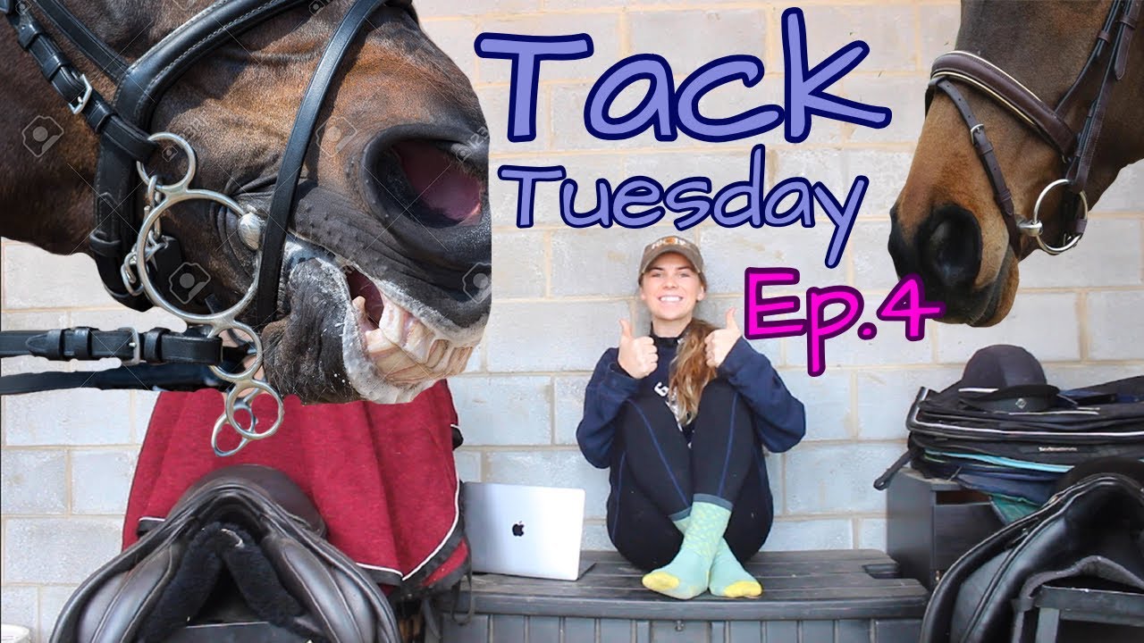 Should you be using a flash noseband? Tack Tuesday Ep.4