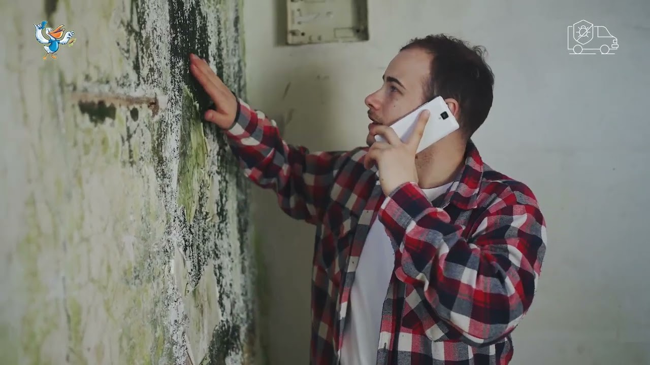 Commercial Pest Control Services in Baton Rouge | Trusted Exterminators &ndash; Pelican Pest Control