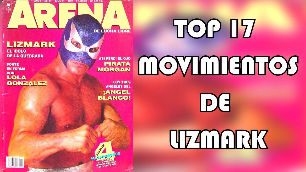 Top 17 Movimientos de Lizmark 