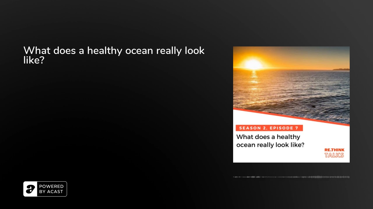 What does a healthy ocean really look like?