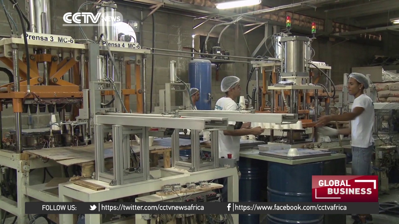 Making eco-friendly thermal cups and trays using cassava