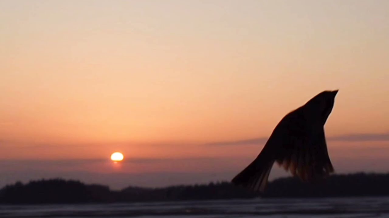 おはようございます✨2026/02/18今朝は霞がかった日の出🌄短編です🥰✨