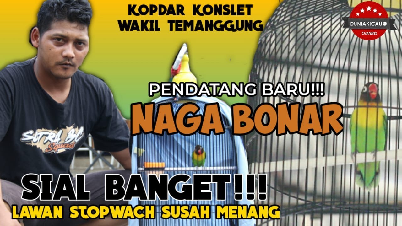 Kopdar Konslet Magelang - PENDATANG BARU NAGA BONAR - Sial Banget STOPWACH Susah DIKALAHKAN