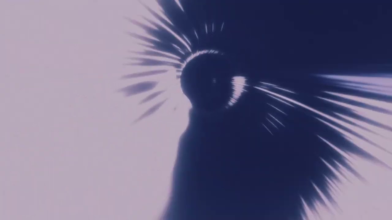 Opal Sunn / Elastic &ndash; Phase I