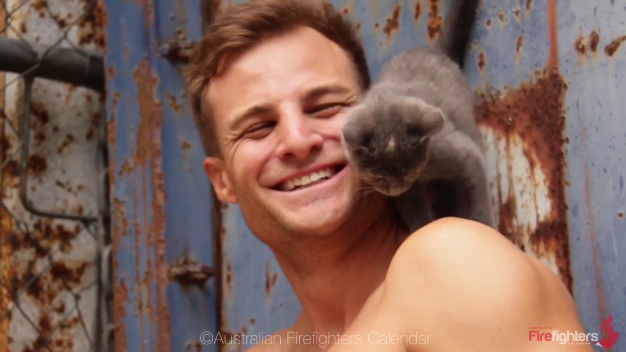Cat Calendar   2019 Australian Firefighters Cat Kitten Calendar