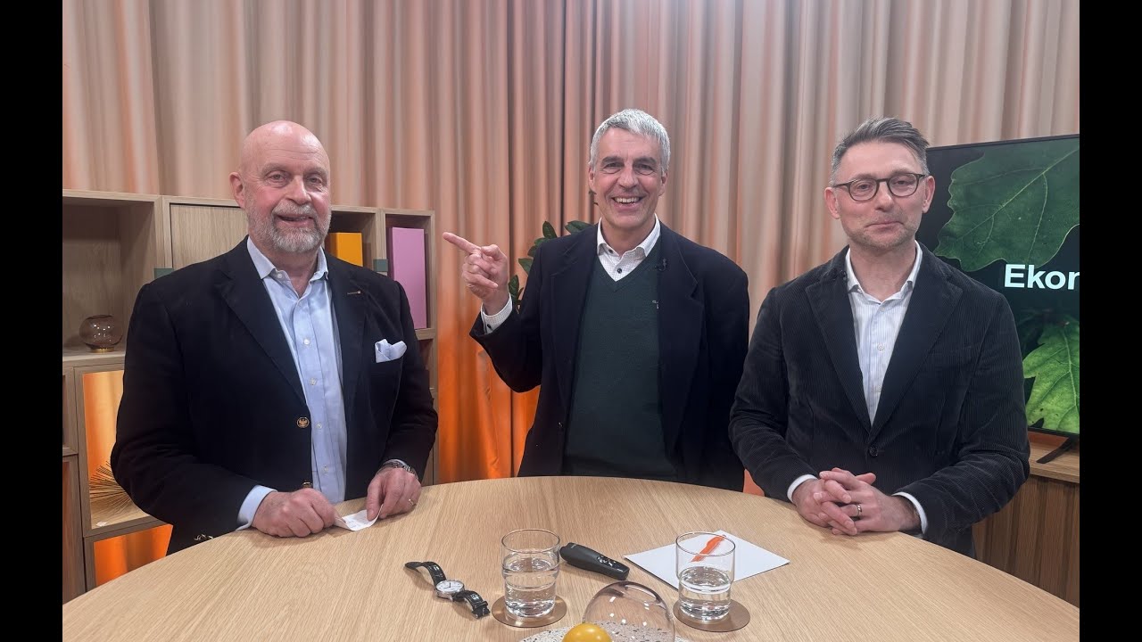 Ekonomiska läget med Swedbank - 4 2025