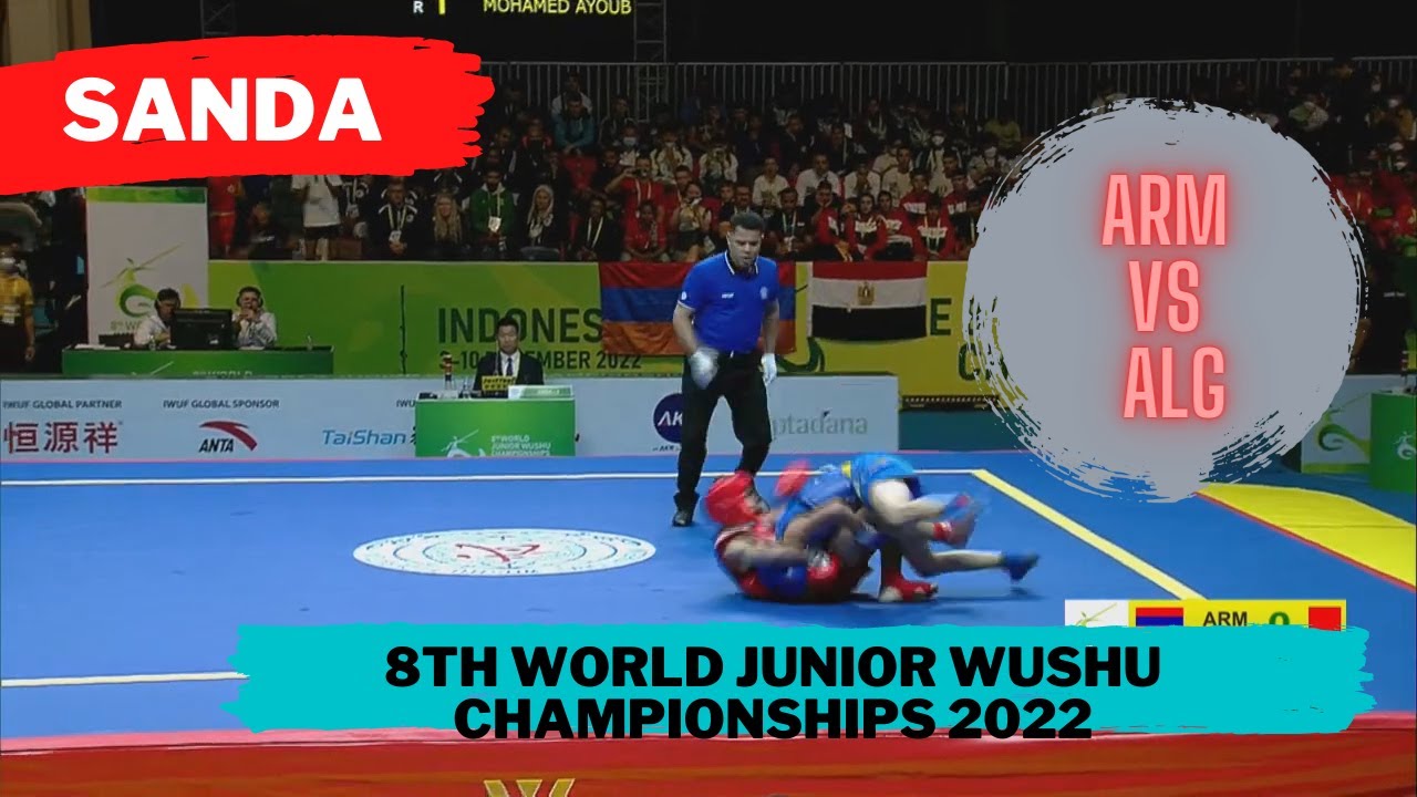 8th World junior wushu championships|SANDA 56kg boys Artur Vardanyan ARM vs Ait Mohamed Ayoub ALG