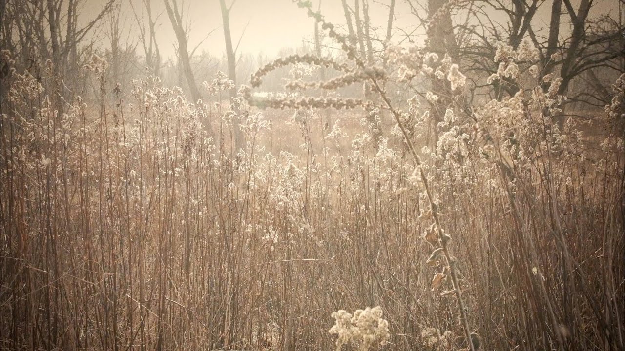MIST - STOP HATE