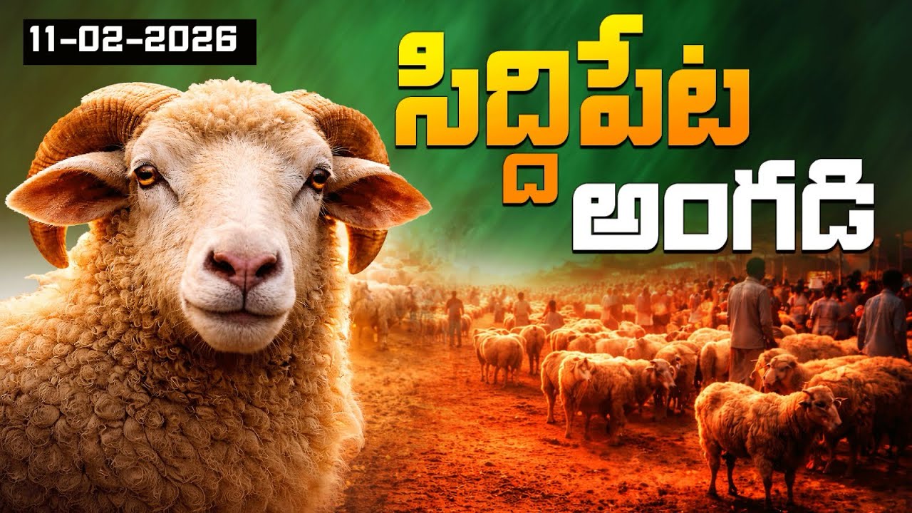ప్రతి బుధవారం సిద్దిపేట అంగడి (9949790308)#lifeisbutadream 