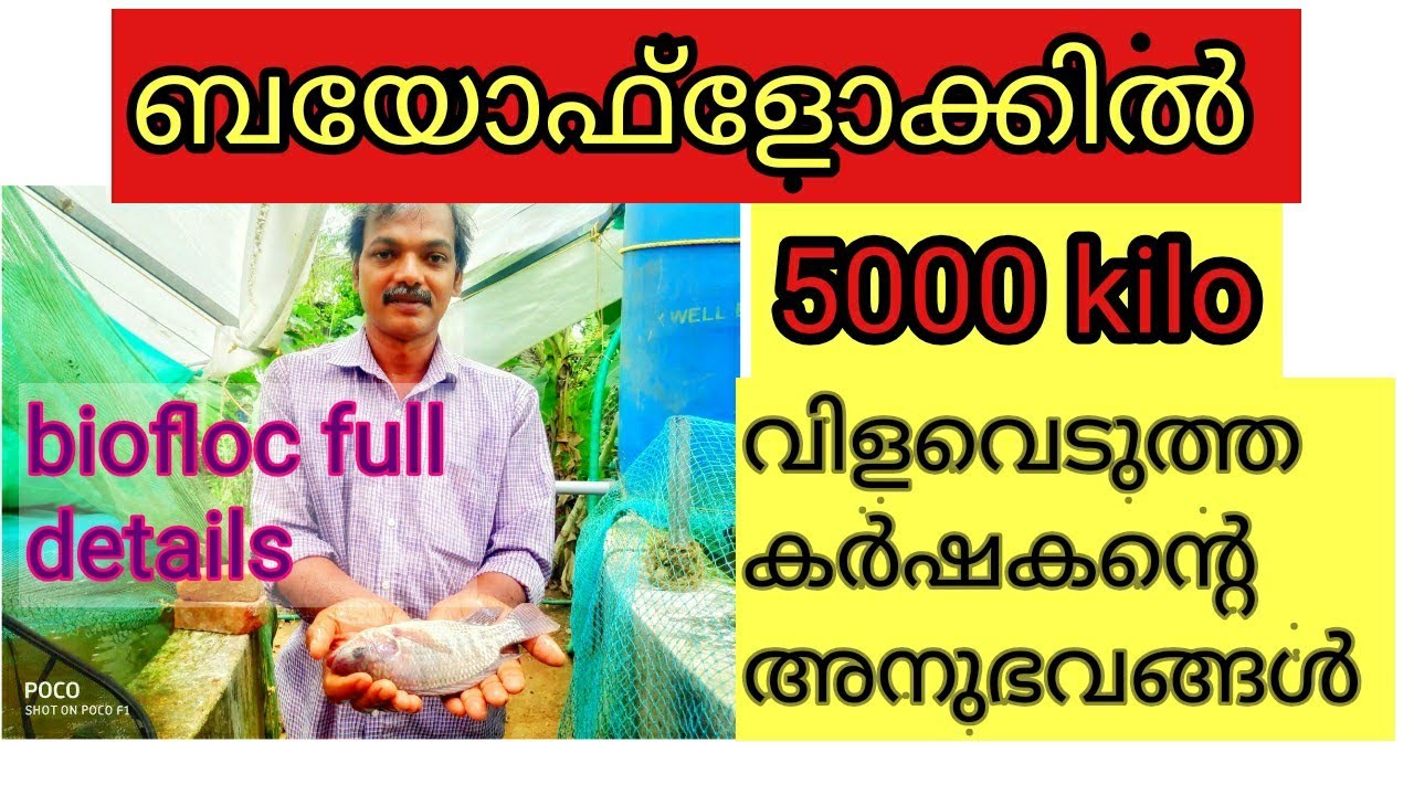 ബയോഫ്ലോക്കിൽ 5000 കിലോ വിളവെടുത്ത കർഷകന്റെ അനുഭവങ്ങൾ #biofloc farm visit kerala