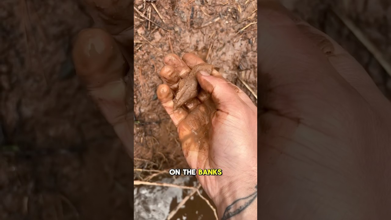 the best wild clay i&rsquo;ve found