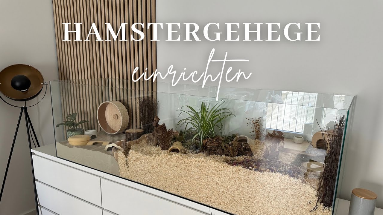 XXL - Hamstergehege einrichten für Zwerghamster | Hamsterstübchen