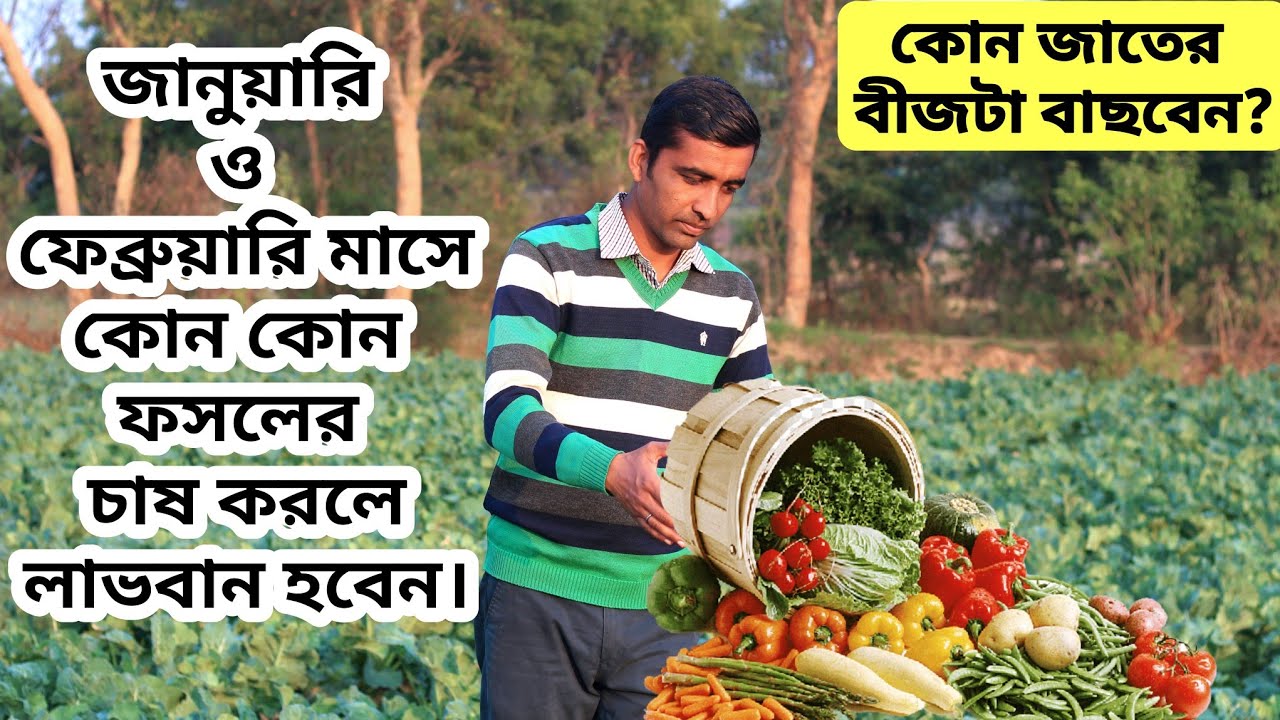 জানুয়ারি ও ফেব্রুয়ারী মাসে কি কি ফসলের চাষ করবেন? এই সময় কোন সব্জির চাষ করা ভালো ? #চাষ #সব্জি #ফসল