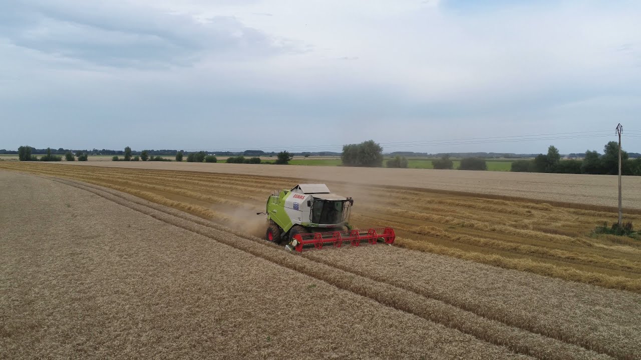 Moisson 2021 avec une CLAAS Tucano 450