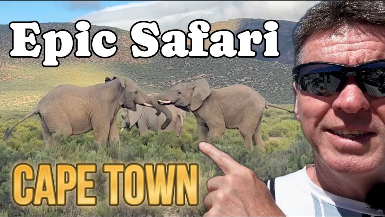 SAFARI in Cape Town, South Africa - Aquila Safari Park