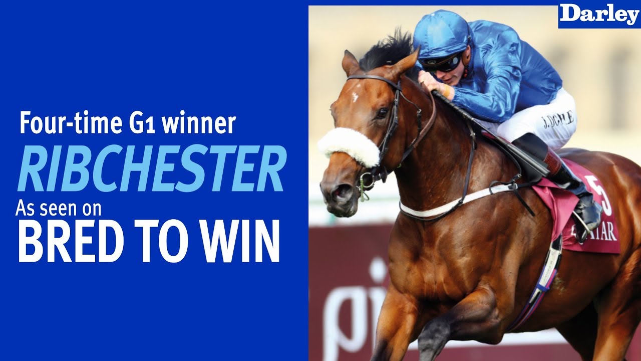 Bred to Win - Ribchester