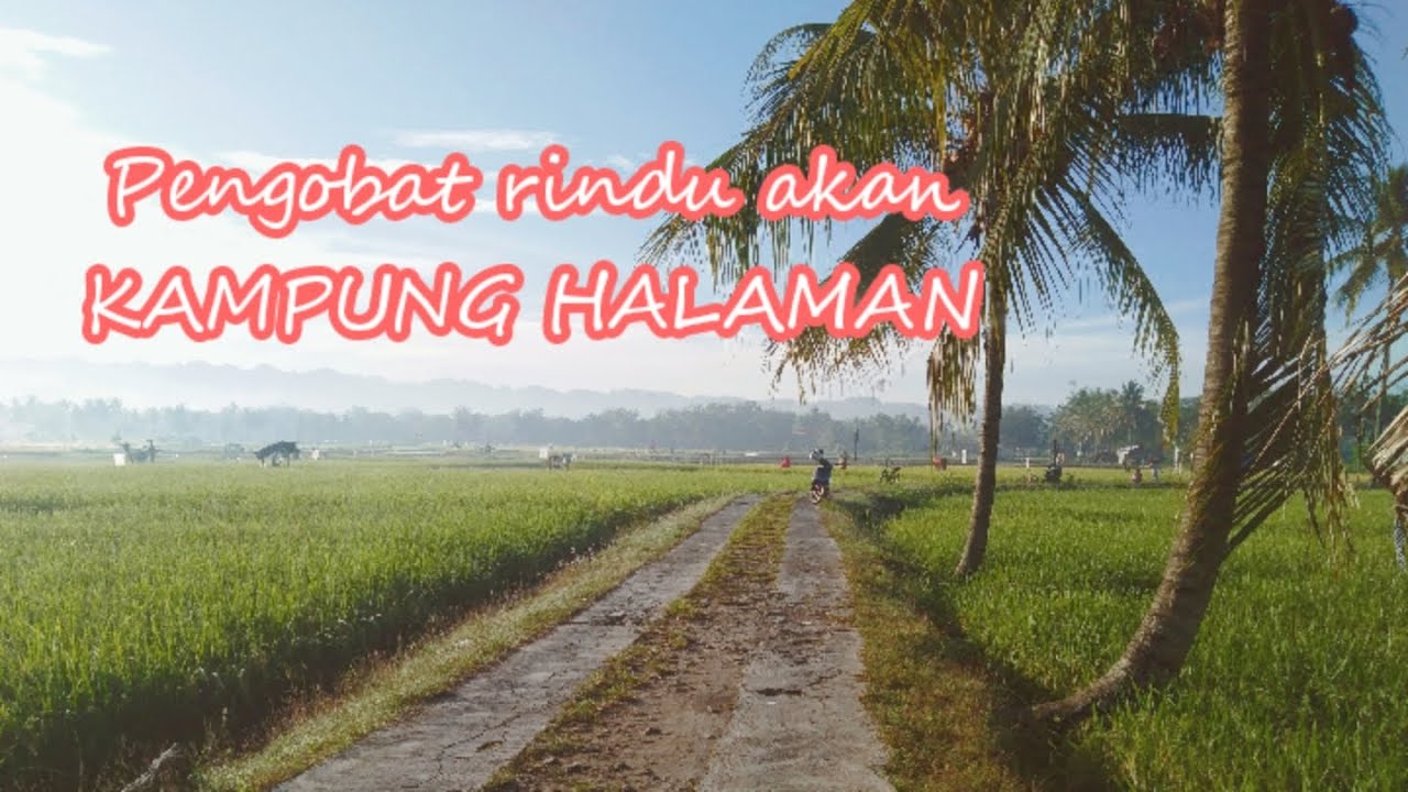 Sejuk dan damai || suasana pedesaan yang di rindukan para perantau untuk kembali ke desa !!