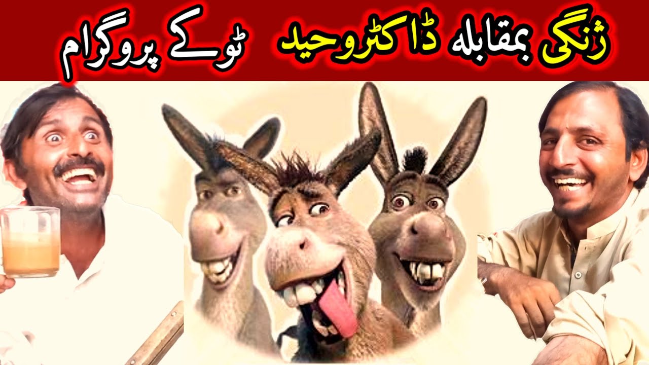 ژنگی بمقابلہ ڈاکٹر وحید ٹوکے پروگرام ۔۔۔۔