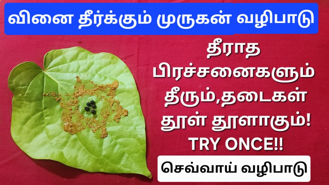 10.2.2026:தை செவ்வாய், இன்றே ஆரம்பிங்க!முருகனை  நம்பி இந்த விஷயத்த செய்யுங்க,உங்களை கைவிடமாட்டார்!