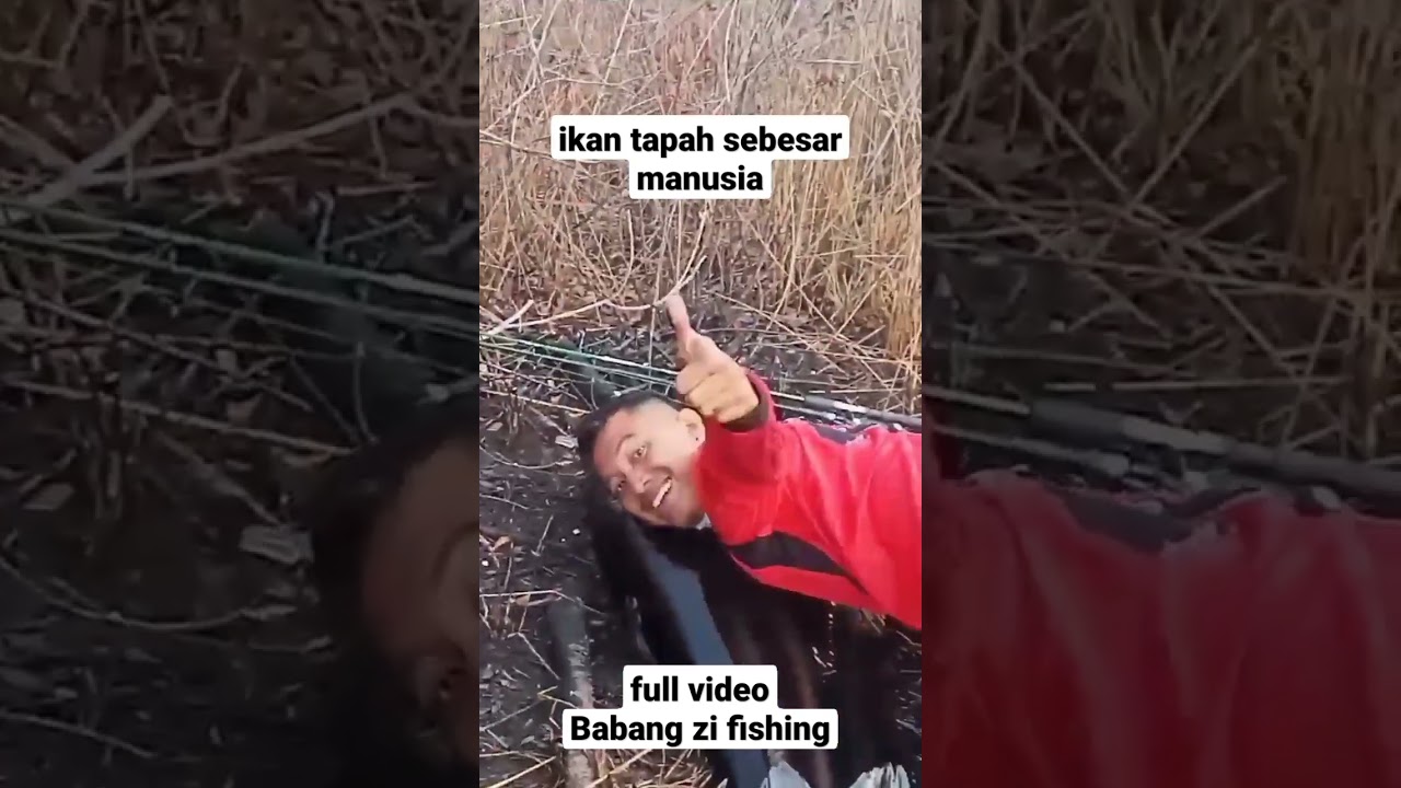 ikan tapah sebesar manusia || mancing troling disungai seruyan kalteng