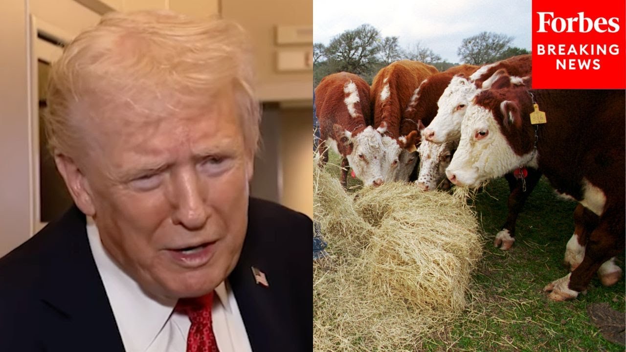 Трамп утверждает, что сделка по закупке говядины из Аргентины «поможет им выжить» в плохих услови...