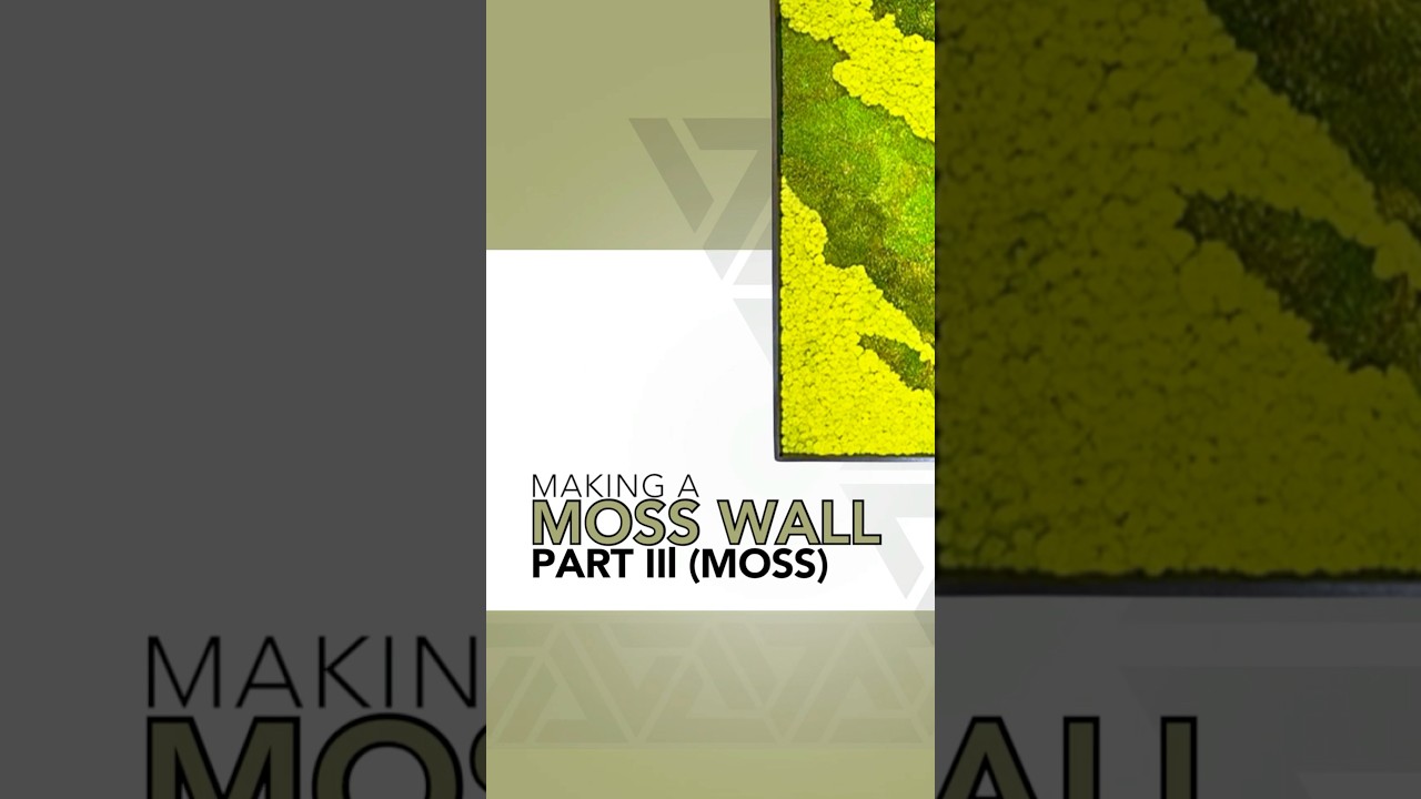 Moss wall made with @supermoss preserved moss part 3 #moss #mossart #plants #tutorial