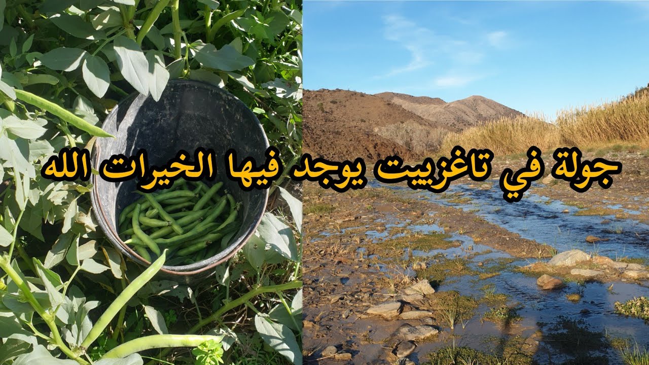 جولة في تاغزييت يوجد فيها الخيرات الله على واد غيس نواحي الحسيمة