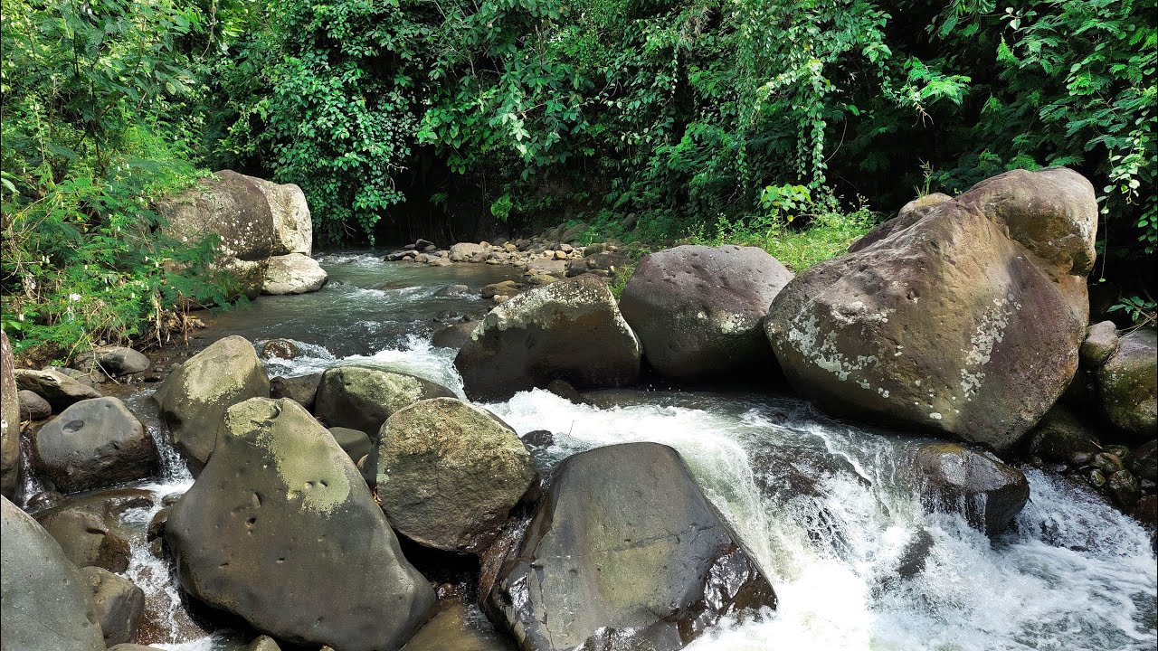 Overcome Insomnia Instantly with Peaceful Jungle River Sounds in a Quiet Green Escape