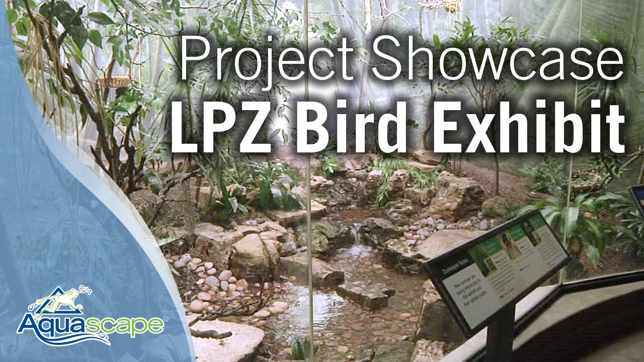 Lincoln Park Zoo Bird Exhibit Project Showcase