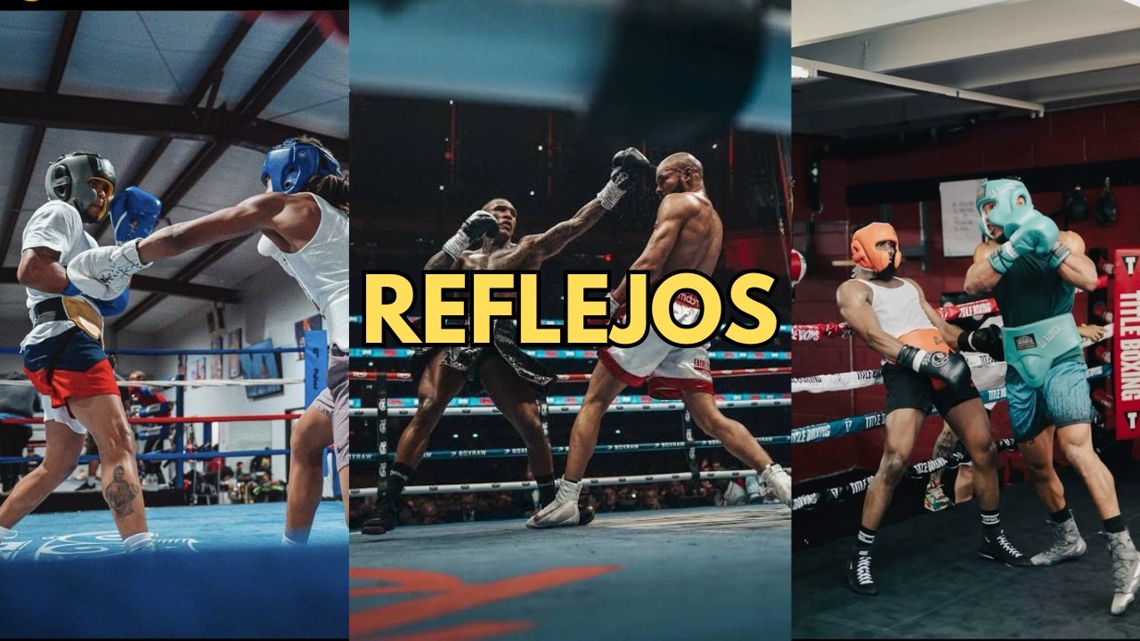 Cómo Tener Reflejos Sobrehumanos En Deportes De Combate
