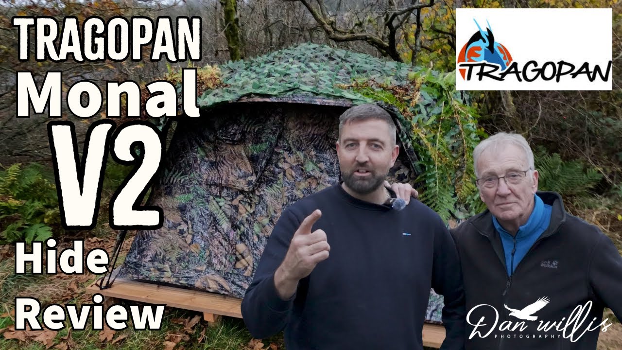 Tragopan Monal V2 Review