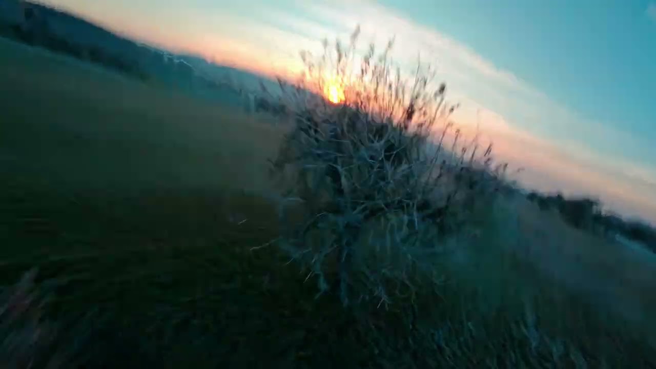 treenanignas on ice - Manta 5 SE Deadcat - DJI O4 Pro