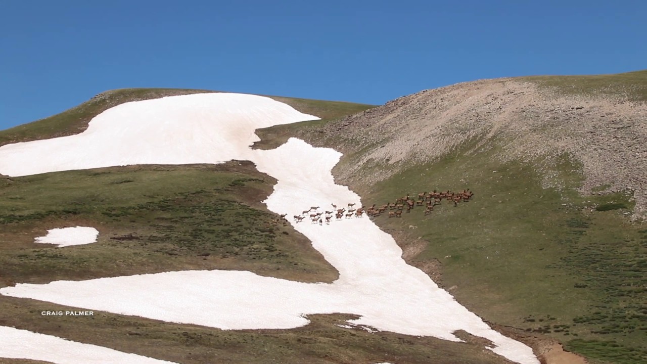 A Colorado Wilderness Adventure in the San Juan Mountains