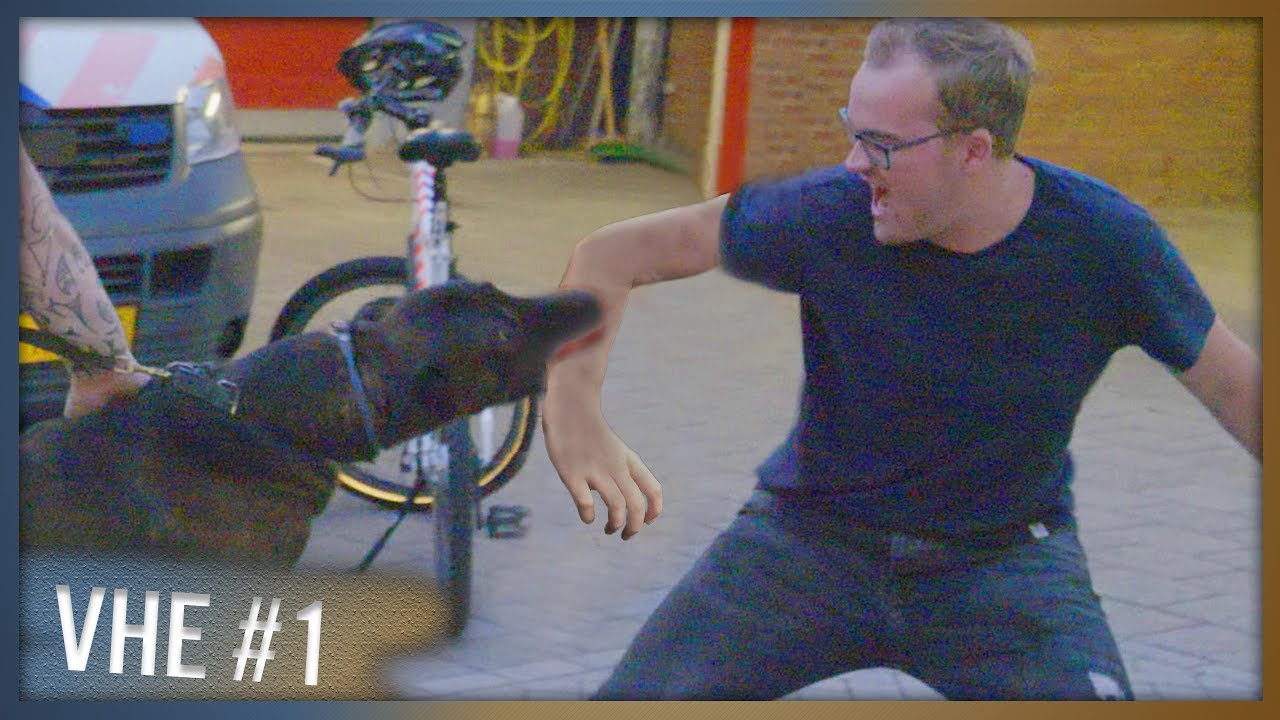 AANGEVALLEN door POLITIEHOND!? - VHE #1