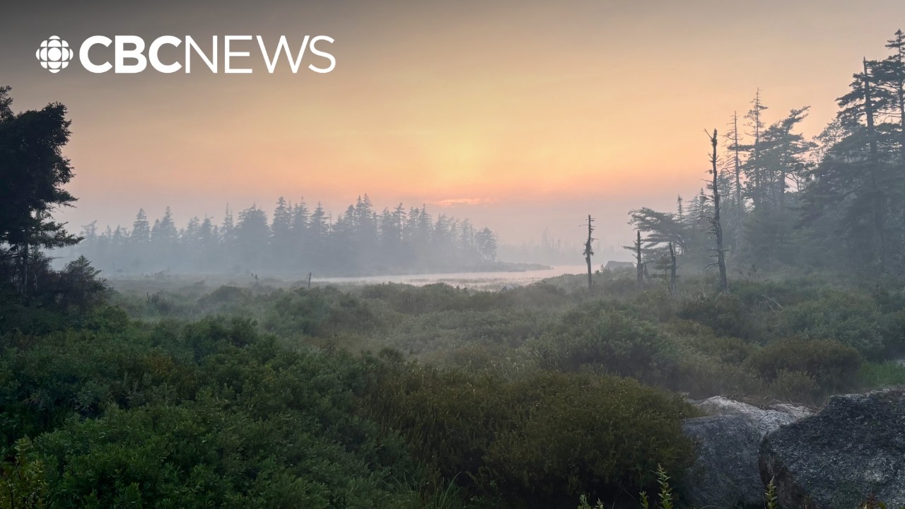 Out of control wildfire causes evacuations in Nova Scotia's Eastern Shore
