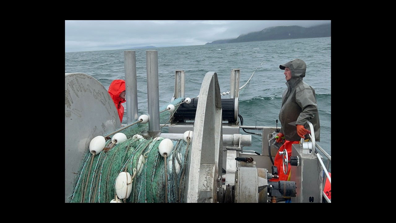Commercial Fishing Alaska. Growing up on the deck.