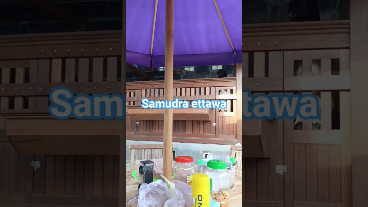 Kandang Samudra ettawa.
