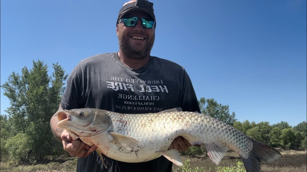 Shooting fish with a fish hawk blowgun