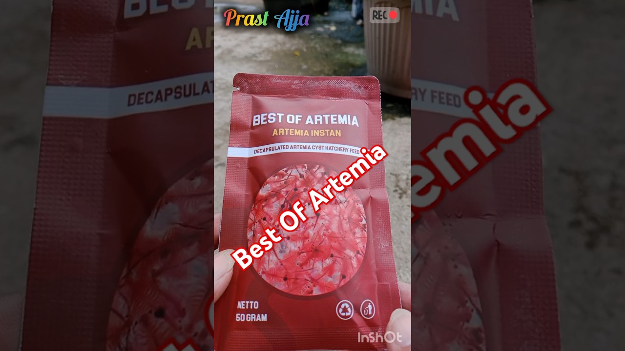 HEBOH ARTEMIA INSTAN BEST OF ARTEMIA 50 GRAM ARTEMIA INSTANT - DECAPSULATED ARTEMIA