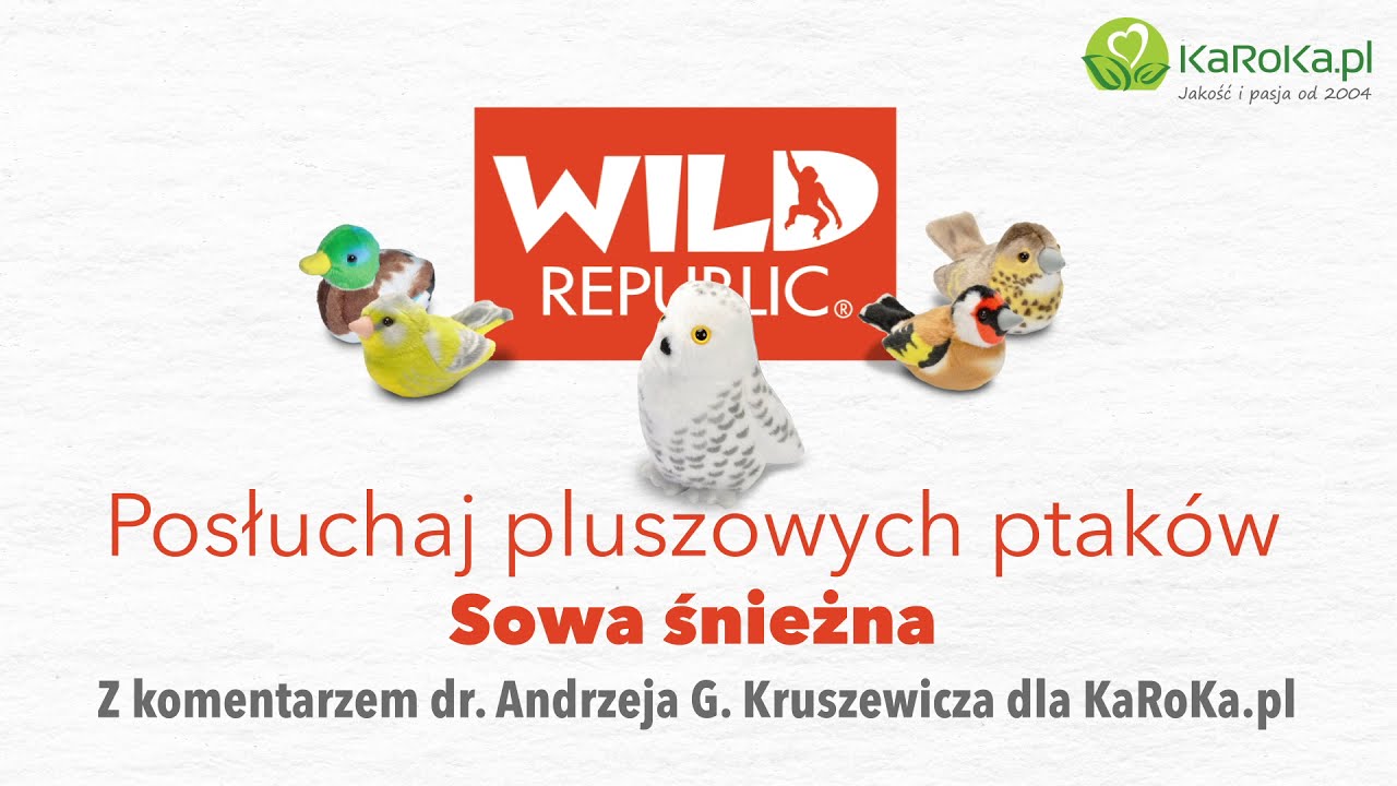 Posłuchaj pluszowych ptaków Wild Republic - Sowa śnieżna