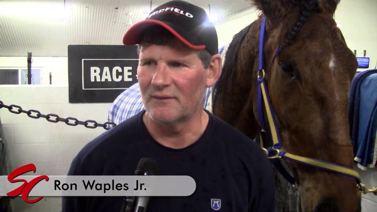 Racehorse Owner Advice - Standardbred Canada Video Feature