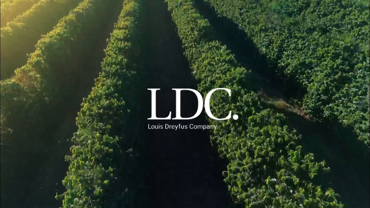 DBS Insights for Business Leaders &ndash; Food & Agribusiness ESG Series: Sustainable Supply Chain (LDC)