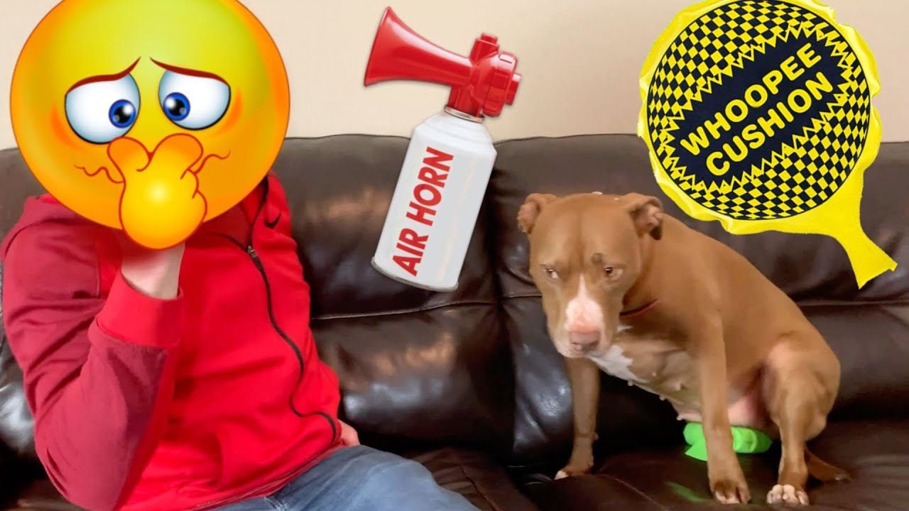 Penny and I got into a prank war!