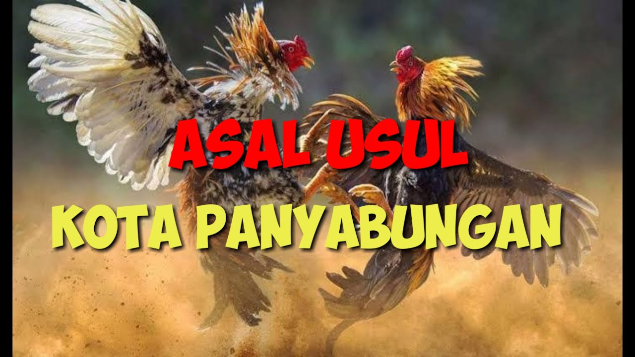 Sejarah kota panyabungan | Mandailing sumatera utara