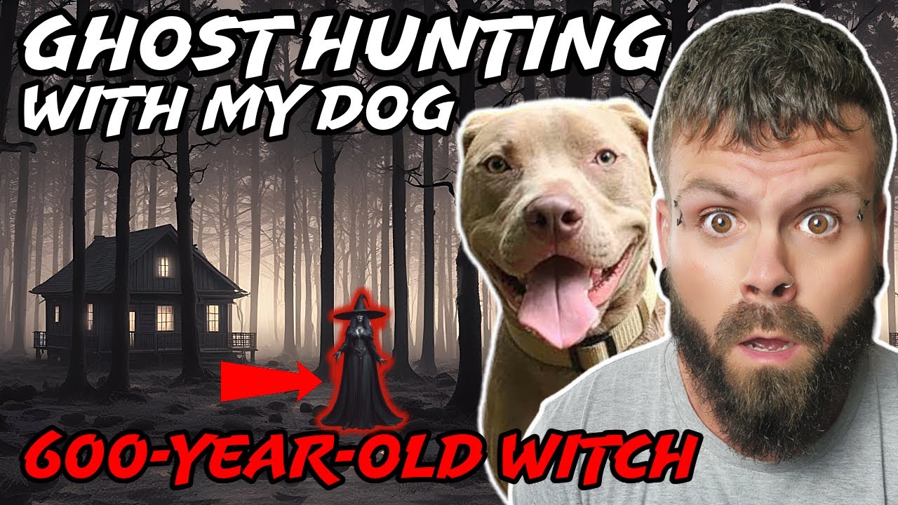Я взял свою собаку на охоту за привидениями в лесу: мы нашли 600-летнюю ведьму